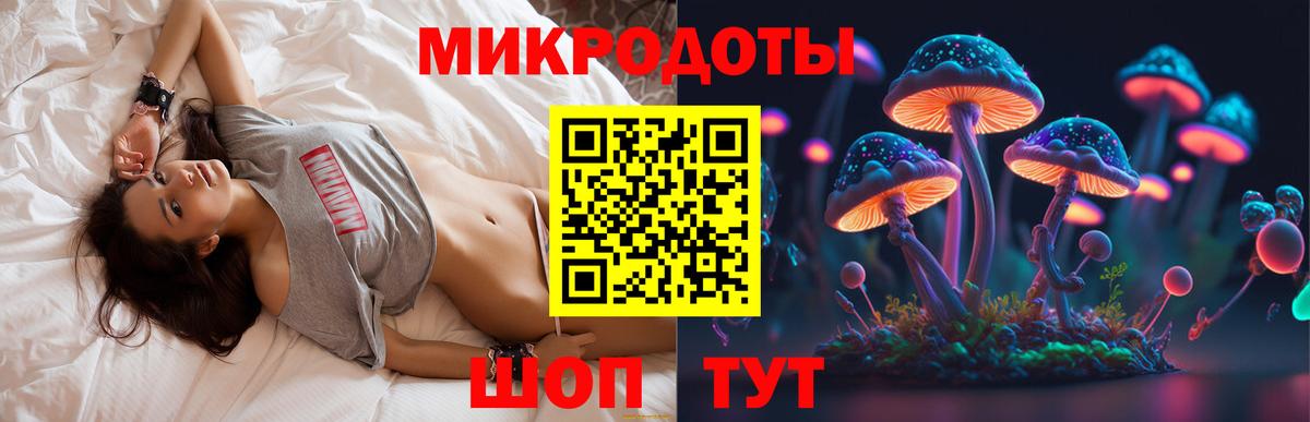 Калуга  Галлюциногенные грибы прущие грибы  Псилоцибиновые грибы Psilocybine cubensis  Вход с VPN 